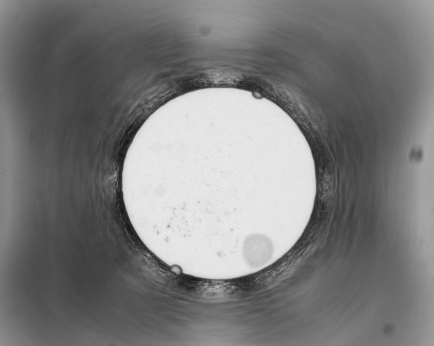 X0000097920321200804111146