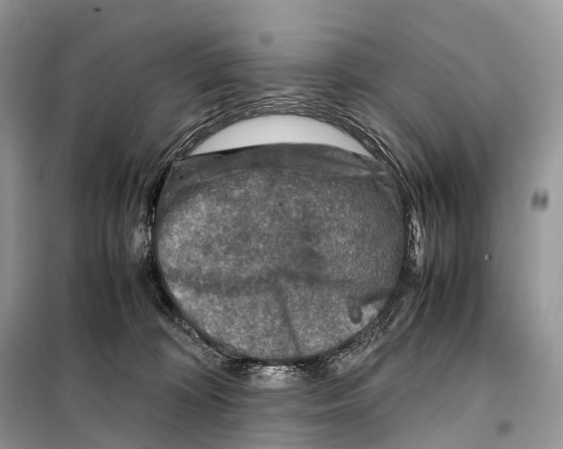 X0000097920324200804111146