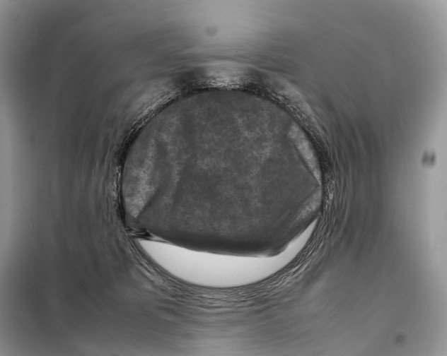 X0000097920325200804111146