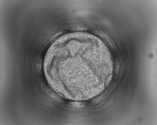 X0000097920326200804111146