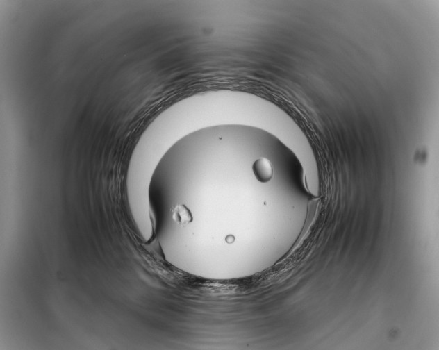 X0000097920328200804111146