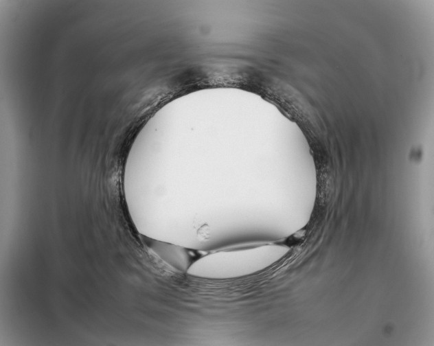 X0000097920329200804111146