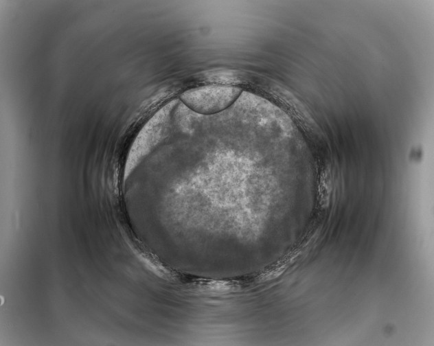 X0000097920330200804111146