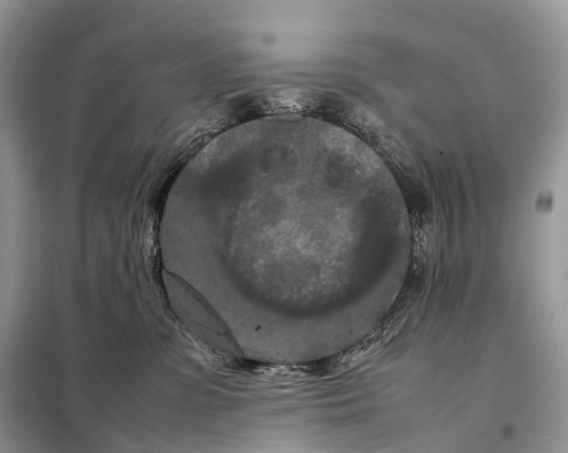 X0000097920331200804111146