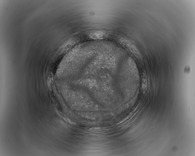 X0000097920332200804111146