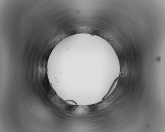 X0000097920334200804111146