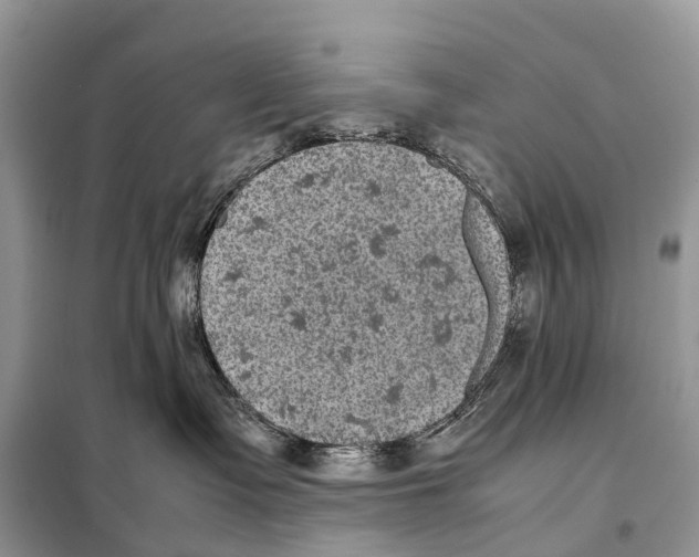 X0000097920335200804111146