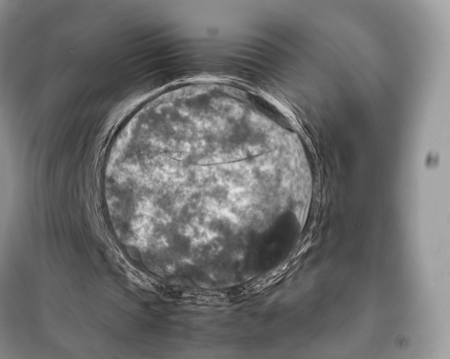 X0000097920337200804111145