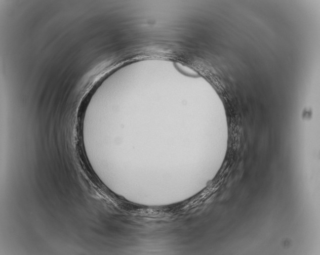 X0000097920338200804111145