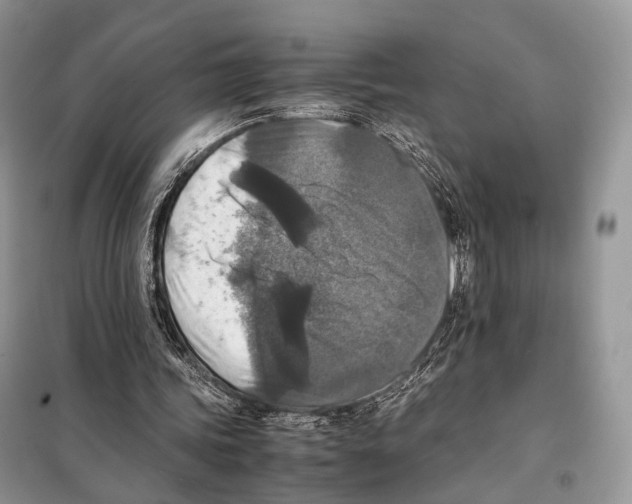 X0000097920339200804111145