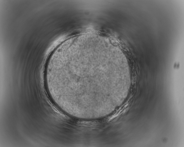 X0000097920341200804111145