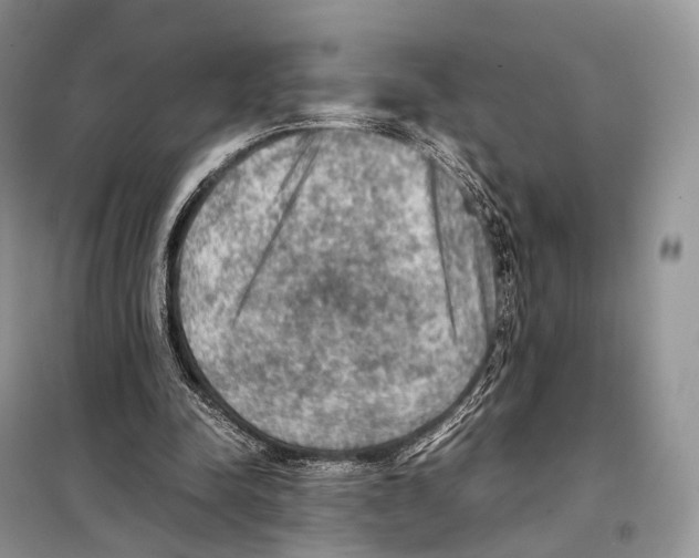 X0000097920342200804111145