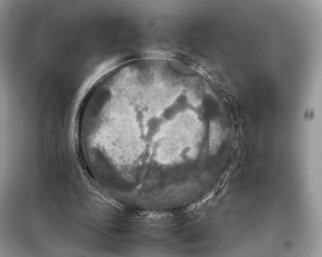 X0000097920343200804111145