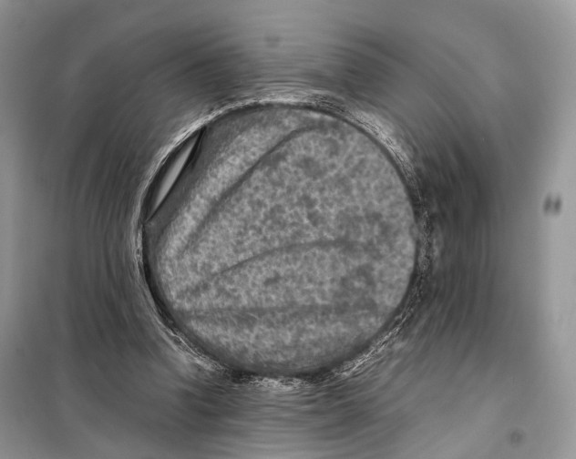 X0000097920346200804111145