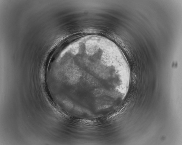 X0000097920347200804111145