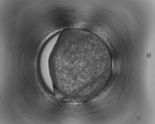 X0000097920348200804111146