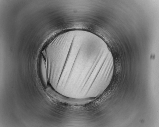 X0000097920350200804111146