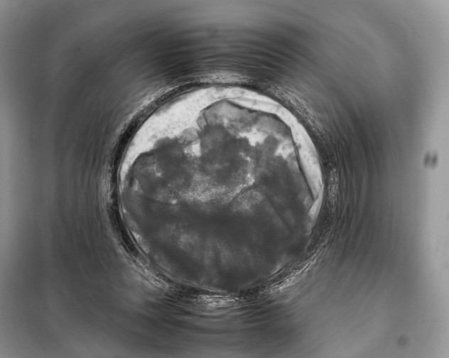 X0000097920351200804111146