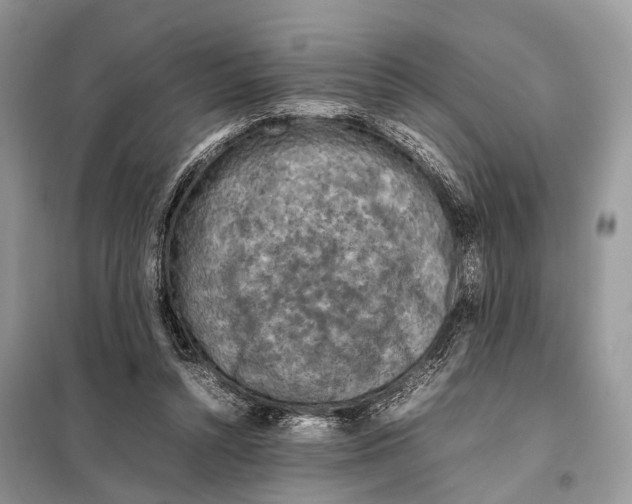 X0000097920352200804111146