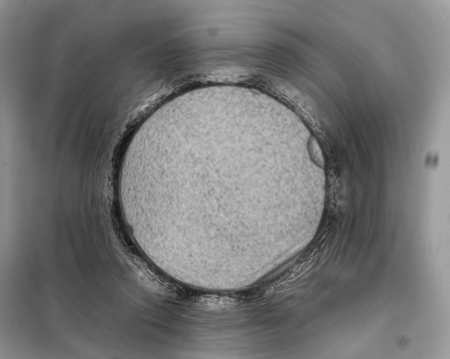 X0000097920354200804111146