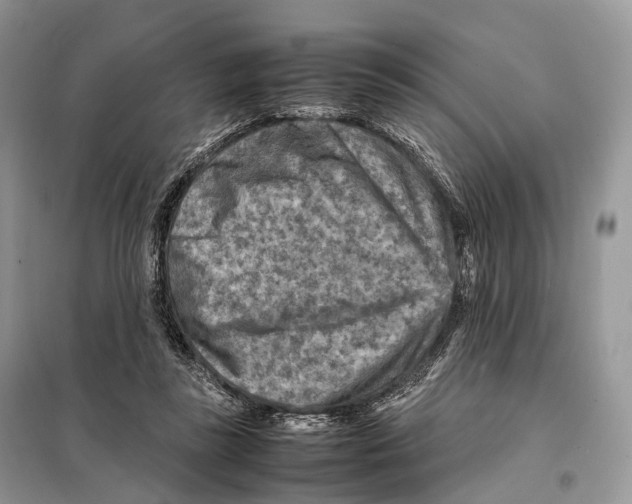 X0000097920355200804111146