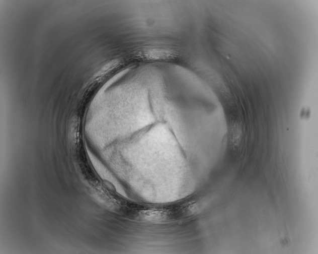 X0000097920356200804111146