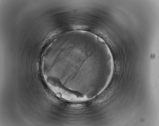 X0000097920357200804111146