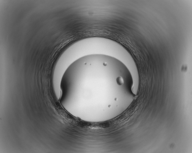 X0000097920360200804111146