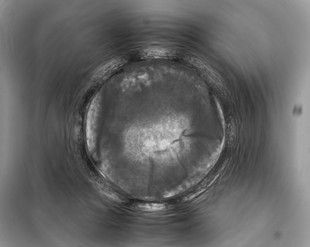 X0000097920361200804111146