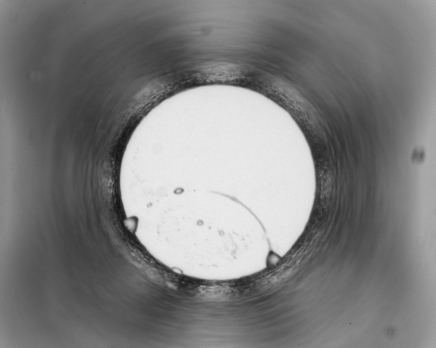 X0000097920362200804111146