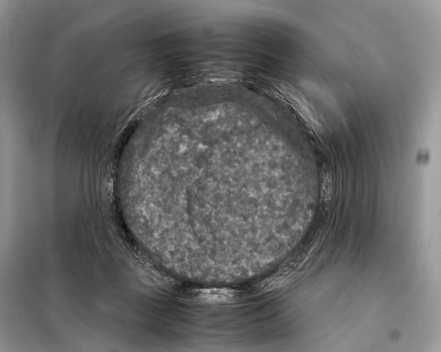 X0000097920363200804111146