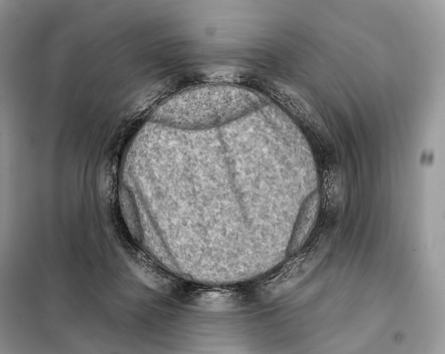 X0000097920364200804111146