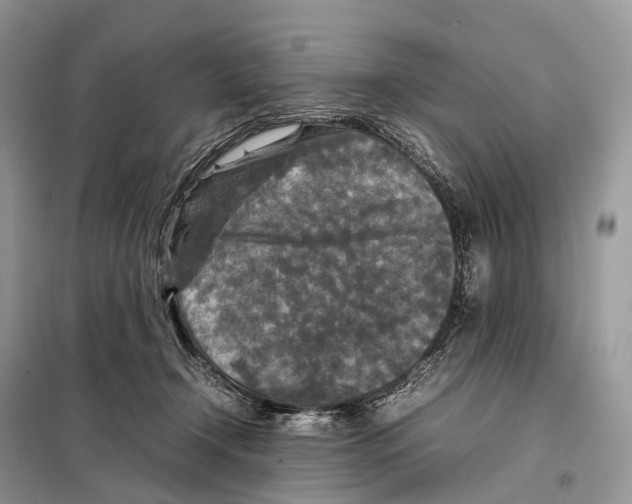 X0000097920366200804111146