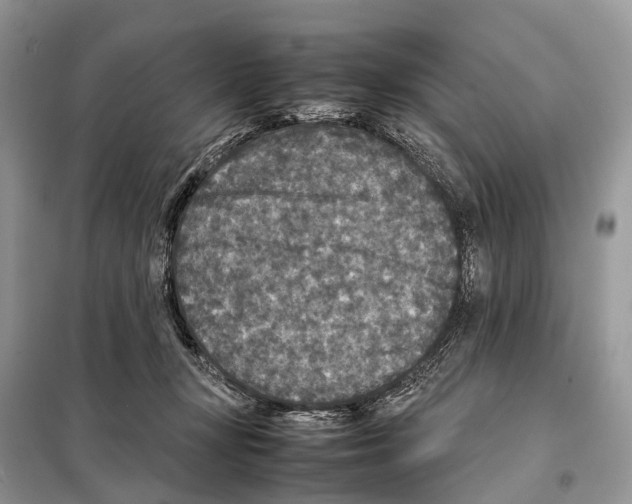 X0000097920367200804111146