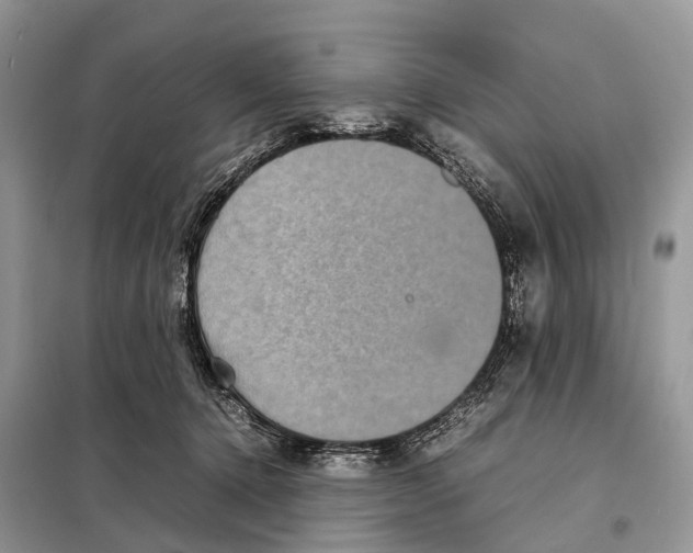 X0000097920368200804111146