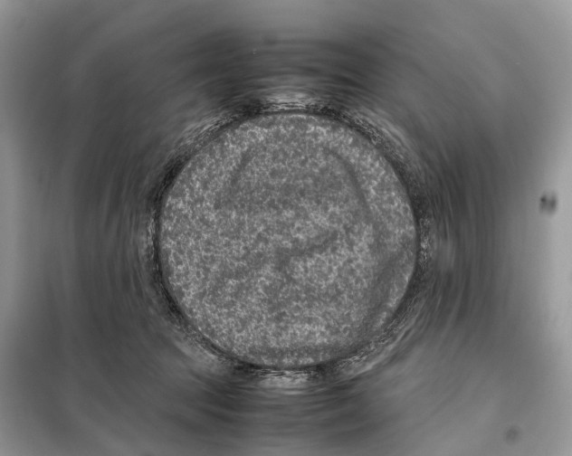 X0000097920369200804111146