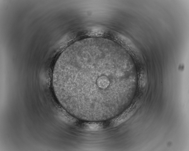 X0000097920370200804111146