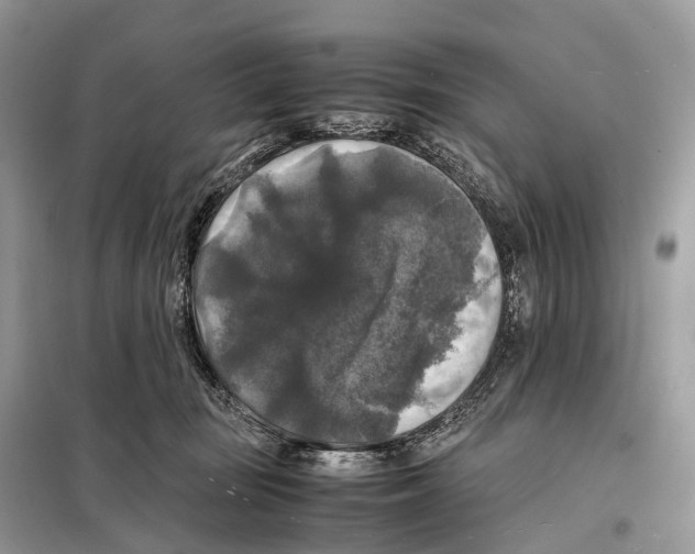 X0000097920371200804111146