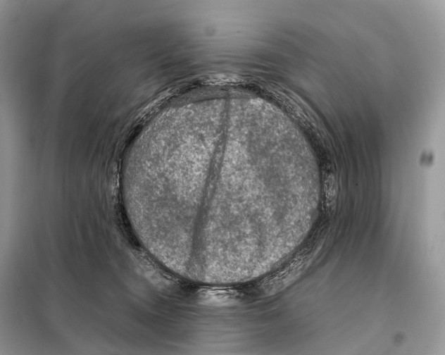 X0000097920372200804111146