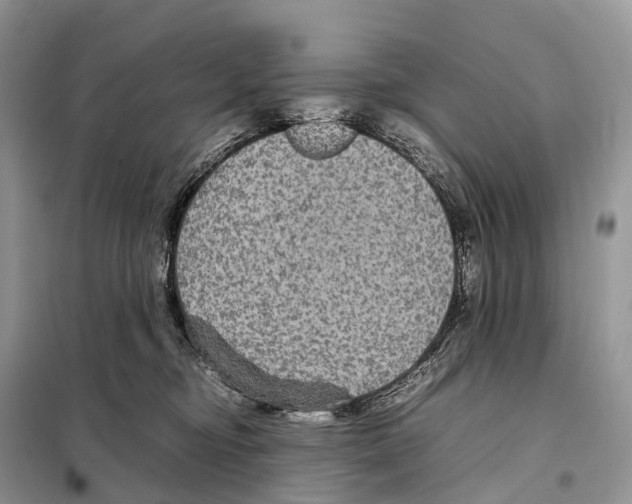 X0000097920374200804111146