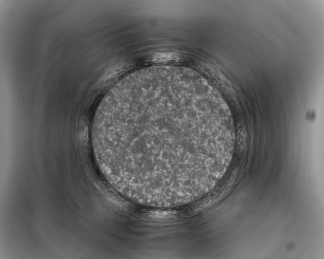 X0000097920375200804111146