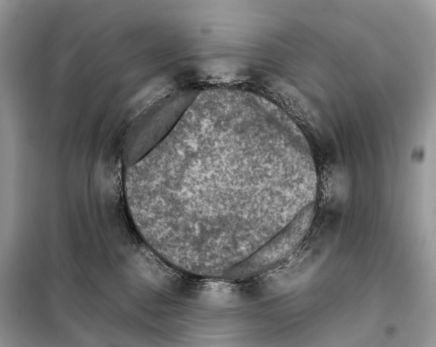 X0000097920376200804111146