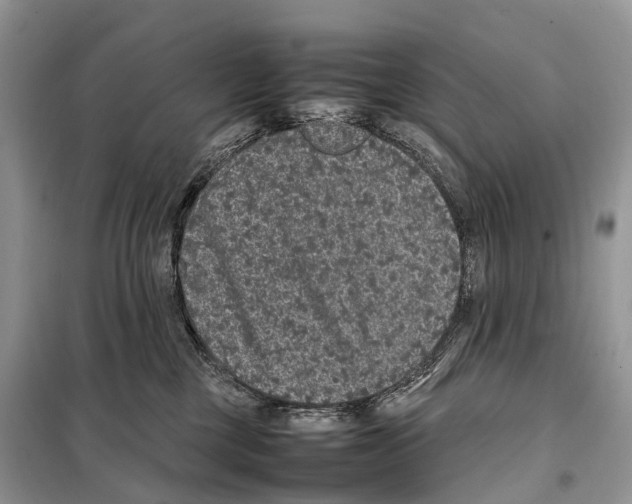 X0000097920377200804111146