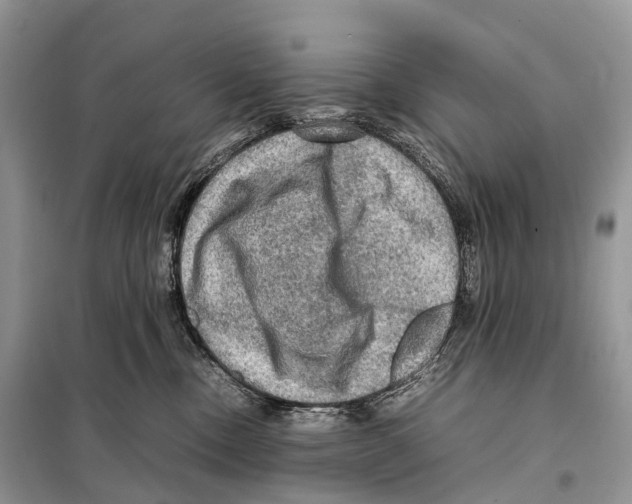 X0000097920378200804111146