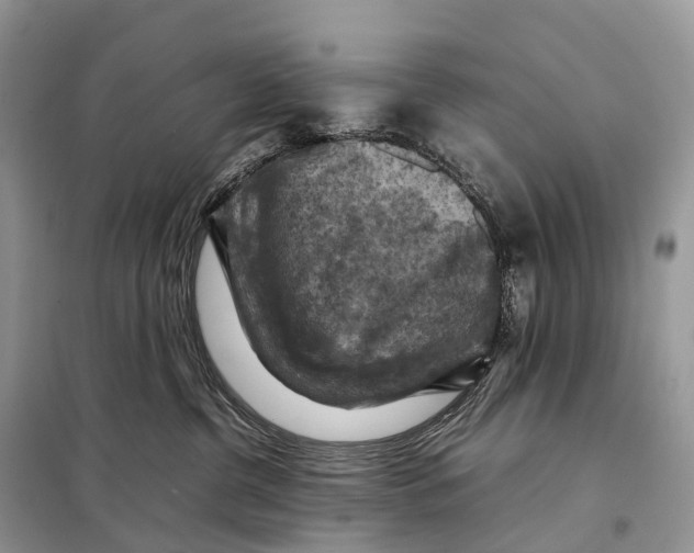 X0000097920380200804111146