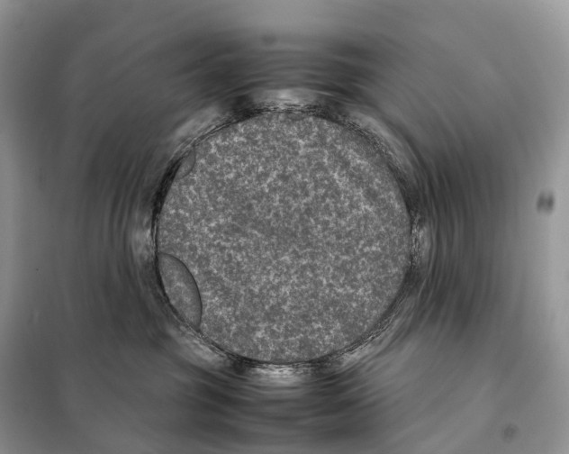 X0000097920381200804111146