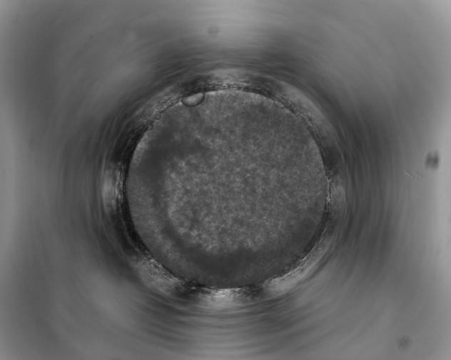 X0000097920382200804111146