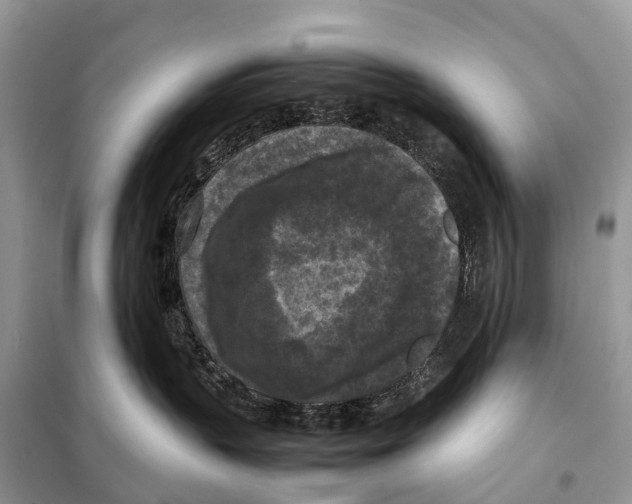 X0000097920383200804111146