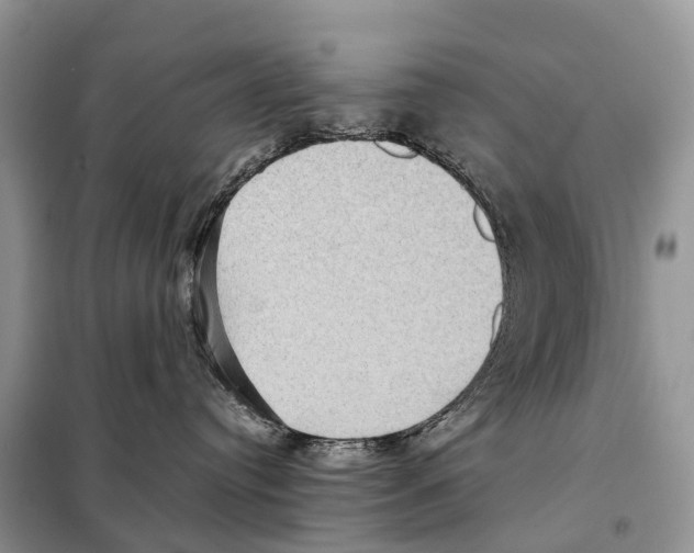 X0000097920384200804111146