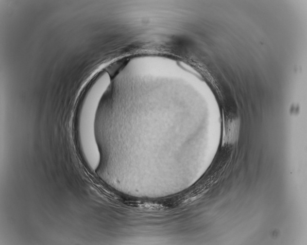 X0000097920387200804111145